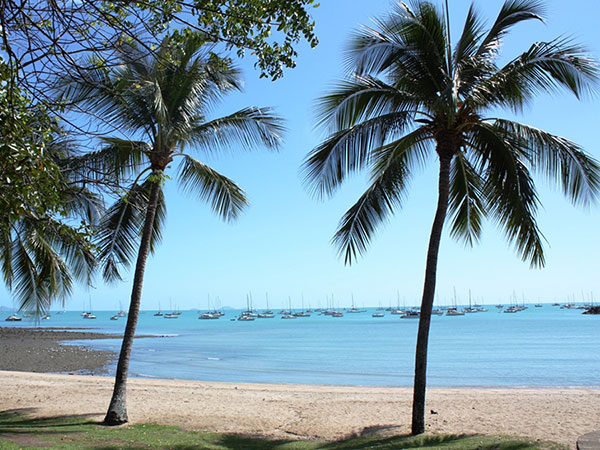Airlie Beach foreshore is fringed with palm trees, al fresco dining, shops and Saturday markets (Photo by Daniel Julie)